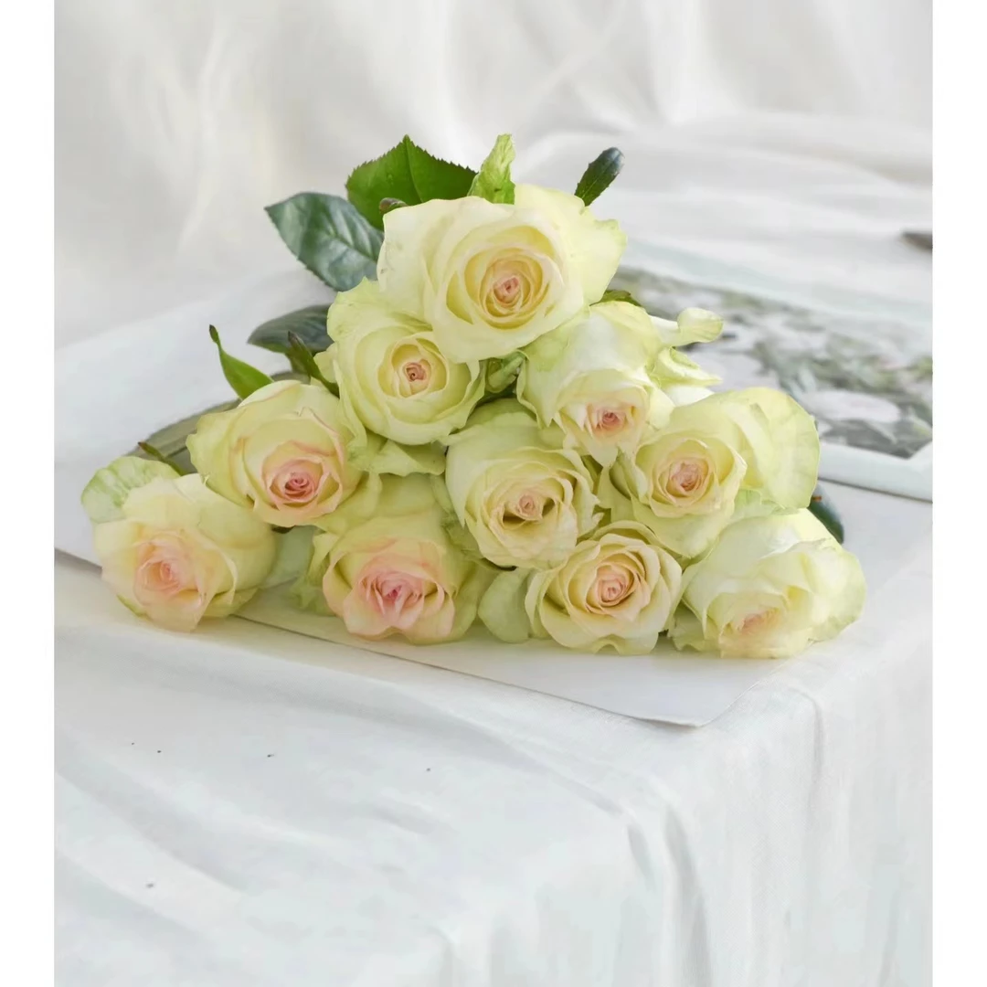 【云南随机鲜花一份】
