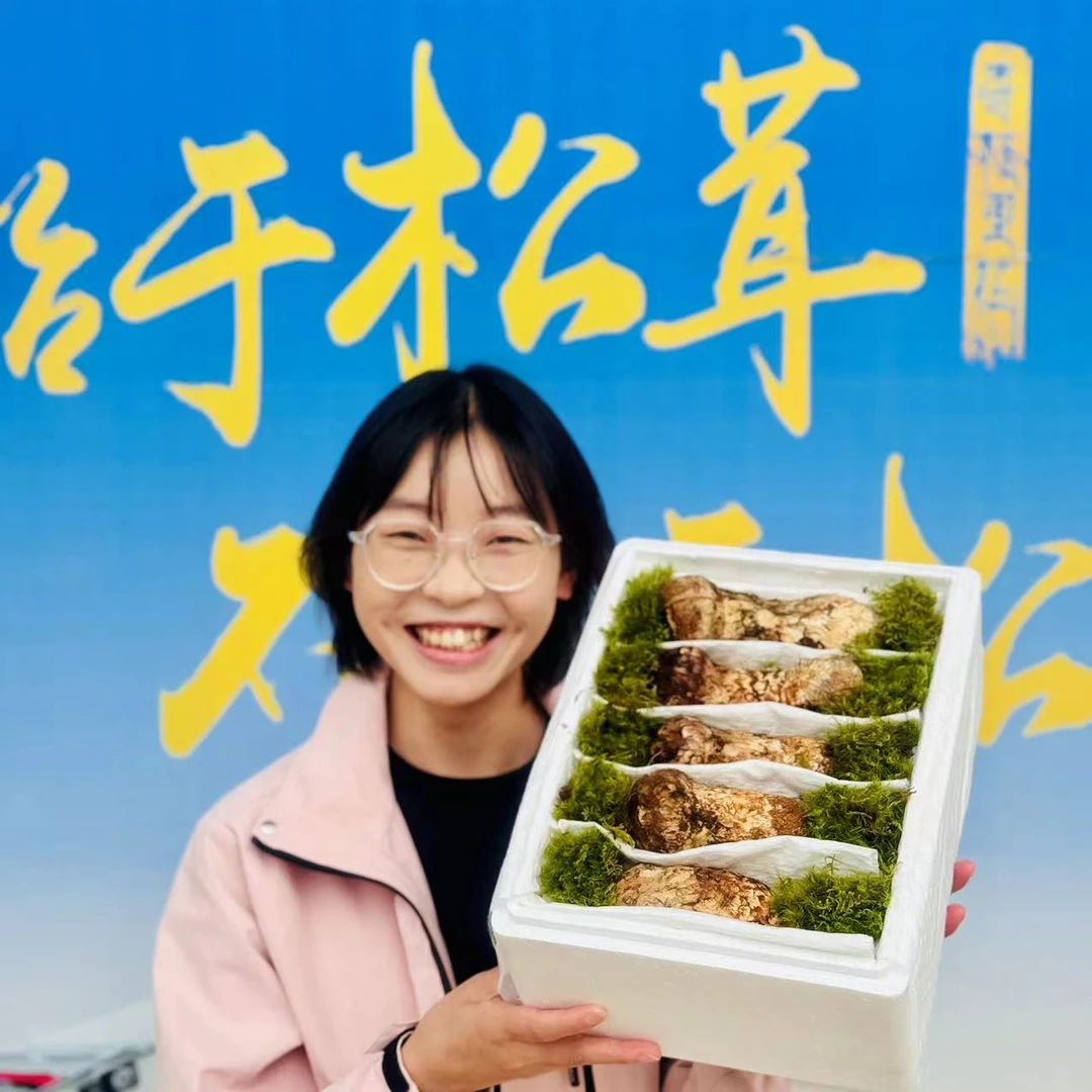 【9-12厘米】云南香格里拉新鲜松茸 精品松茸 顺丰空运包邮产地品质