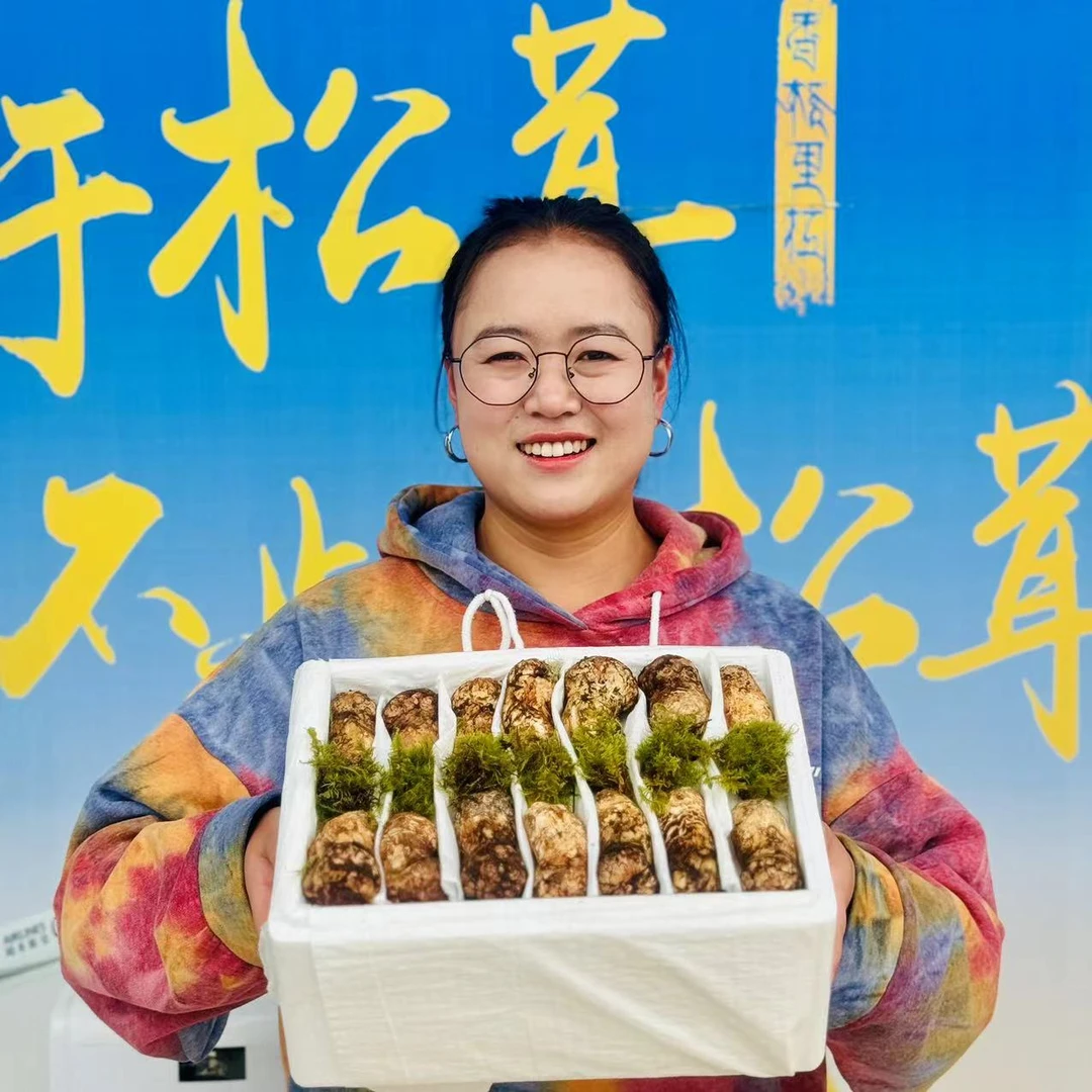【5-7厘米】云南香格里拉新鲜松茸 精品松茸 顺丰空运包邮产地品质