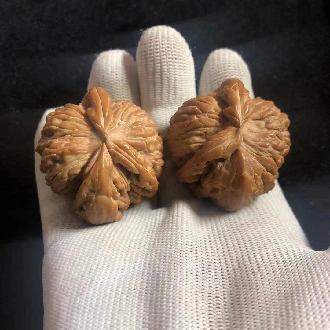 文玩核桃三棱白狮子犀牛角异型核桃王高货收藏级别配对完美全品