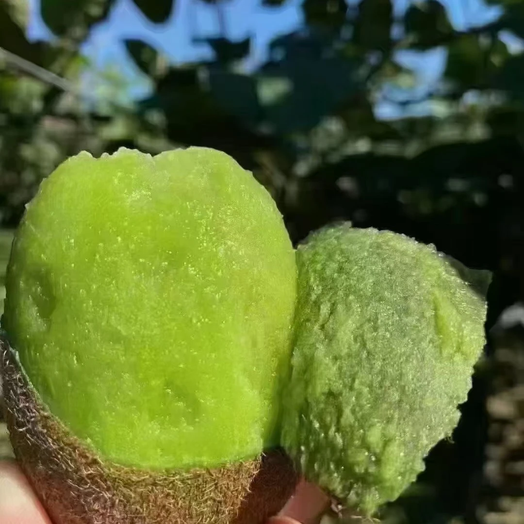 陕西眉县正宗徐香猕猴桃80观影水果-100克中果面包果