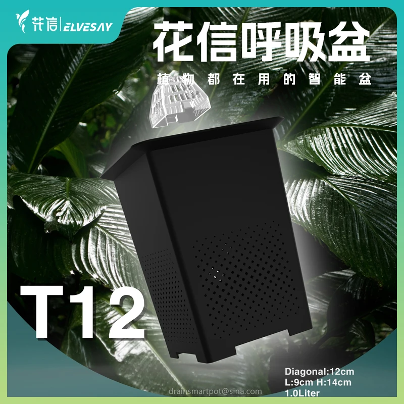 【木通专属】花信呼吸盆T12热植方形盆花烛蔓绿绒控根防烂根透气