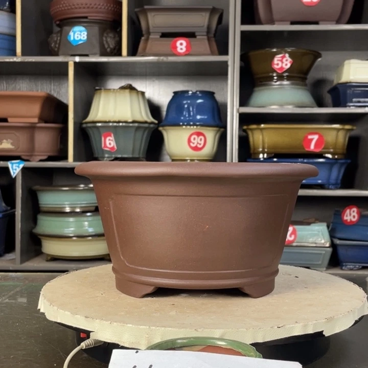 红陶20CM（含）-50CM（不含）