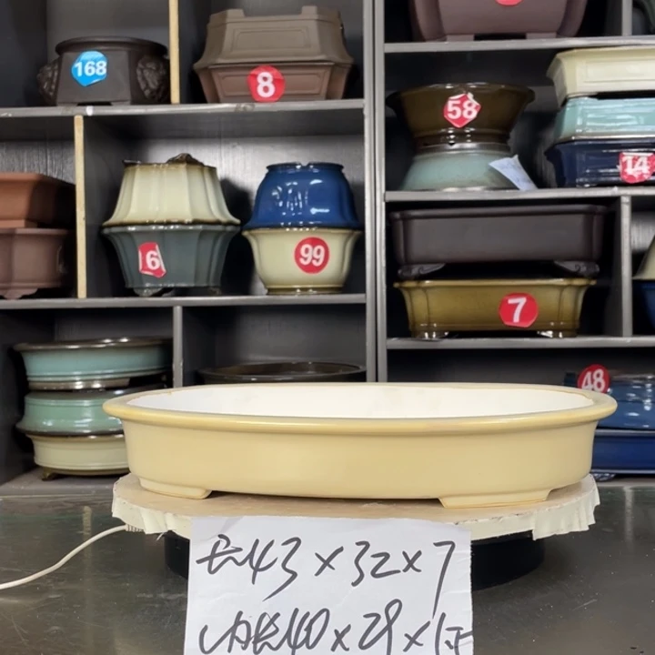 红陶20CM（含）-50CM（不含）