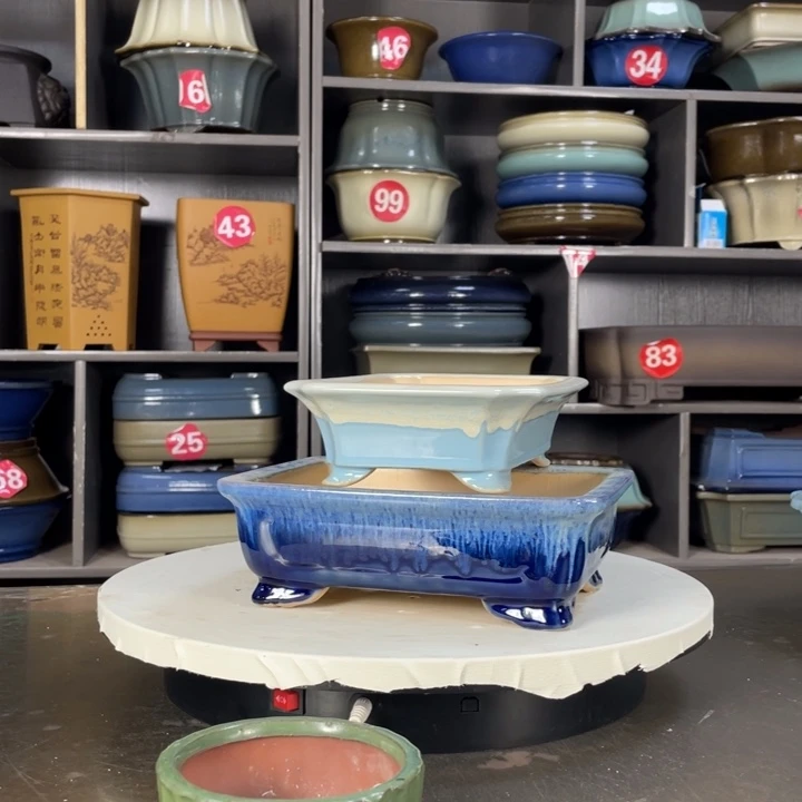 紫砂20CM(含)-50CM(不含)阿*