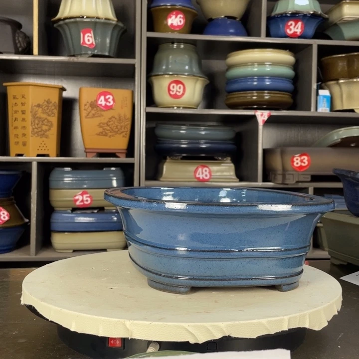 紫砂20CM（含）-50CM（不含）昊*晗