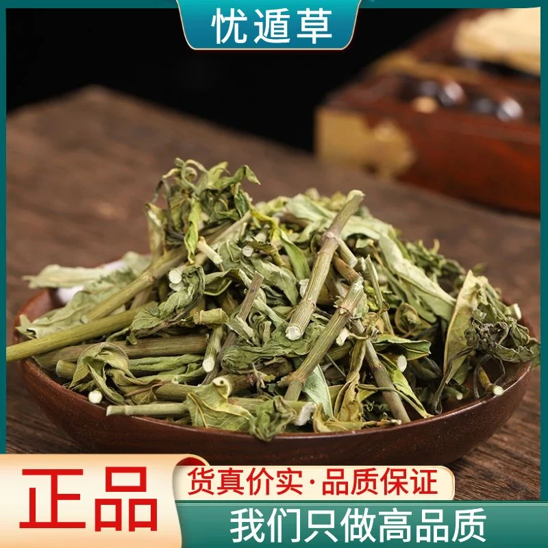 忧遁草海南五指山黎王草鳄嘴花季忧遁草优盾草益母草散装干货泡茶