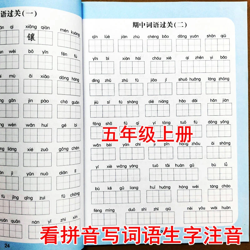 五年级上册看拼音写词语生字注音部编人教版同步语文词语专项训练