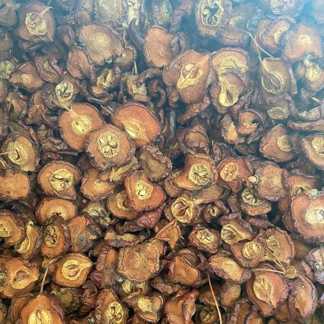 广东野生天然山楂 南方山楂  自然晾晒山楂干煮茶山楂片