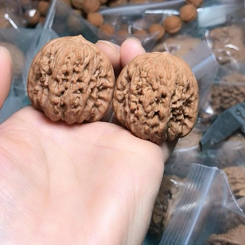 核桃核雕37蜡皮平谷凹底