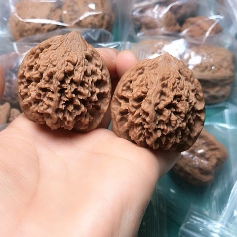 核桃核雕40.5满天星修尖