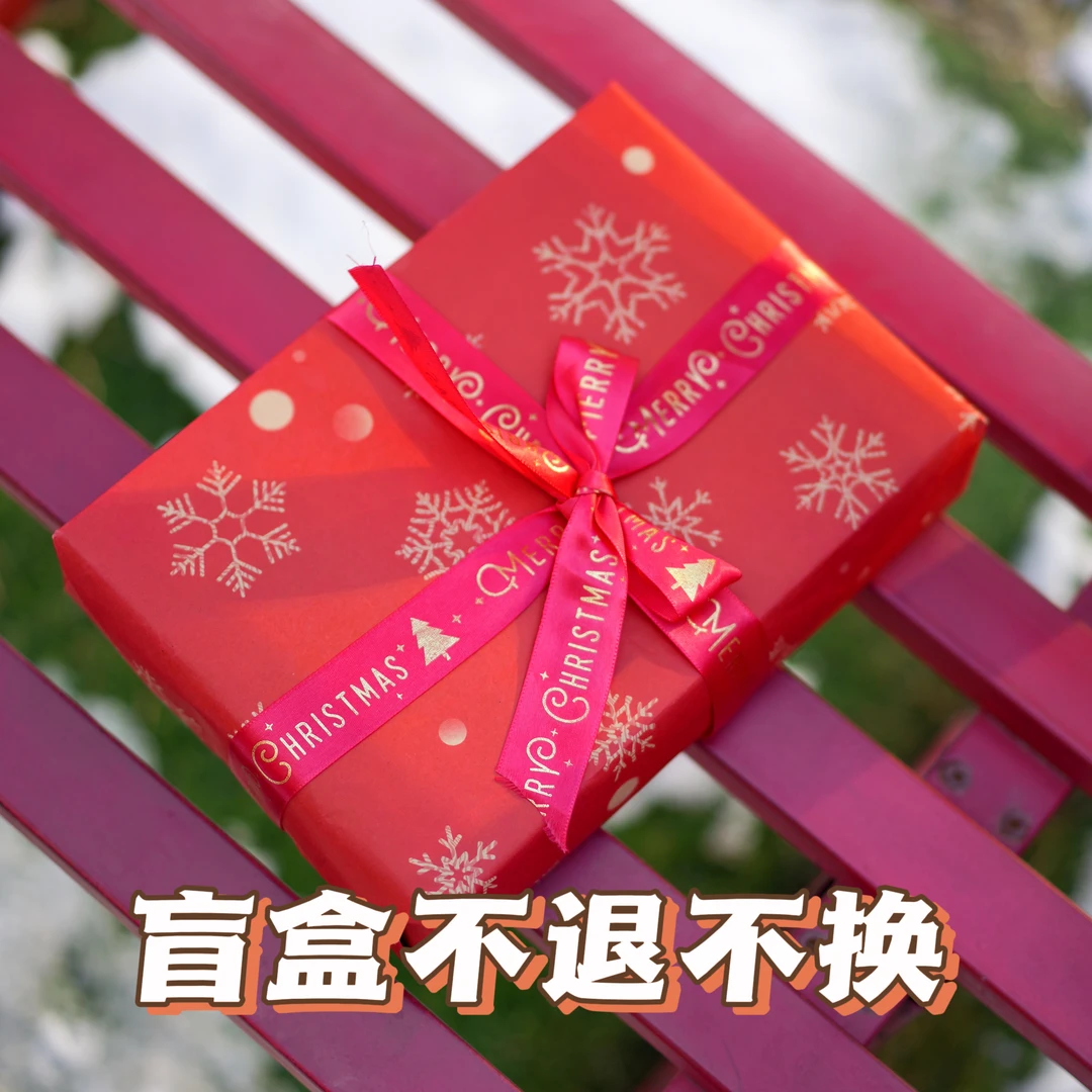 【新年福利盲盒】这是一份特别的圣诞礼物 节日仪式感满满（不退换）