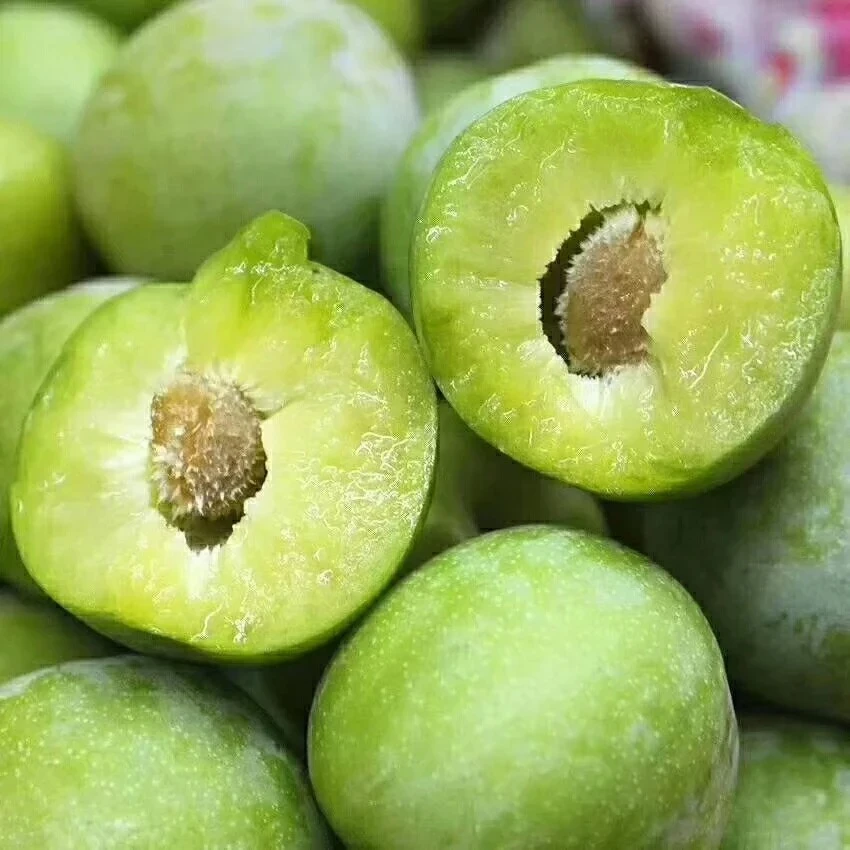 重庆青脆李脱骨李子高山种植新鲜产地直发5斤包邮