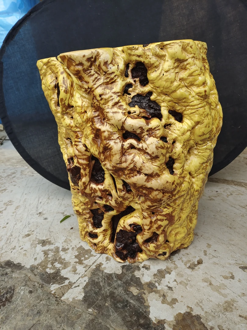 原木实木，枣木木墩