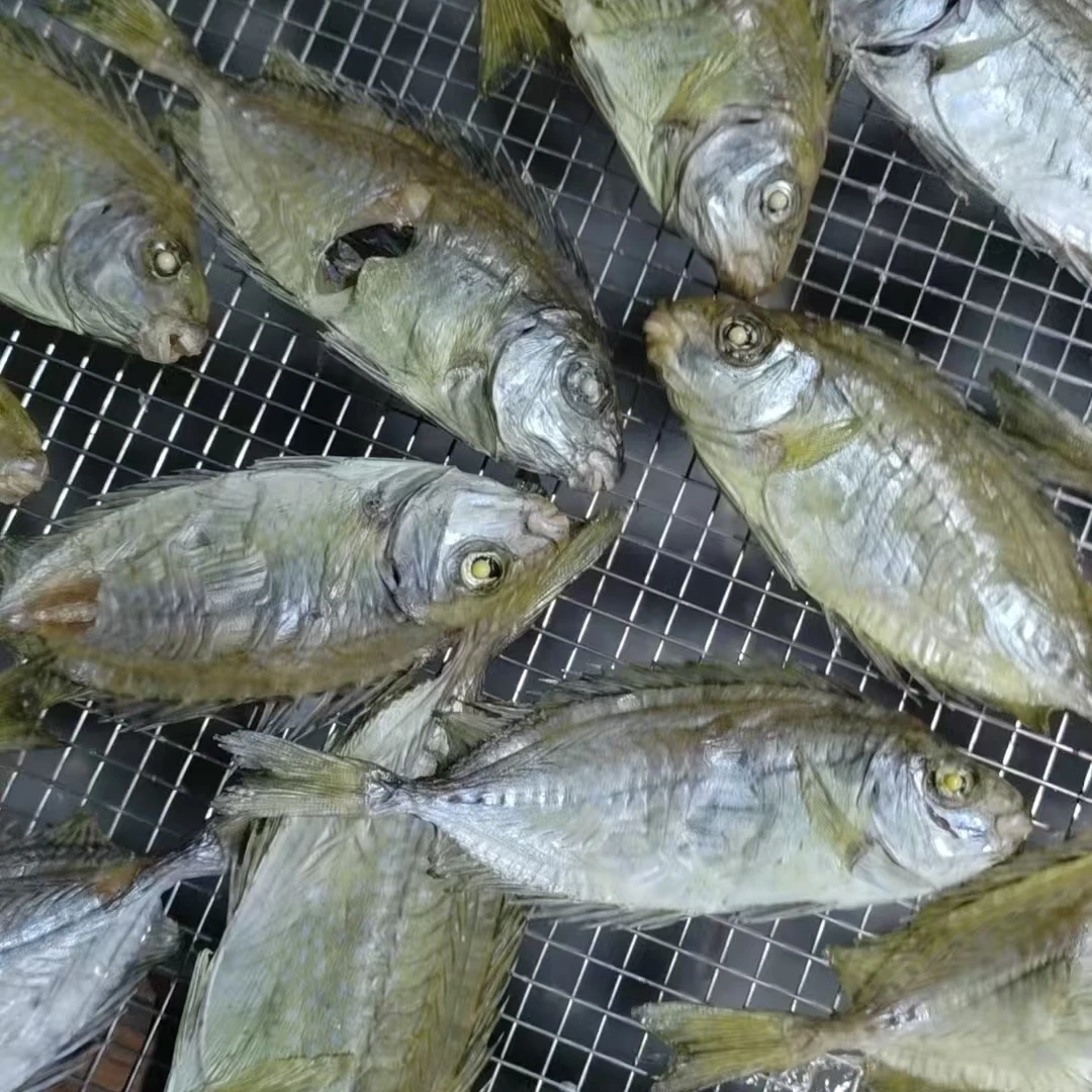 自晒本港娘艾鱼干泥猛鱼干淡干新鲜鱼干