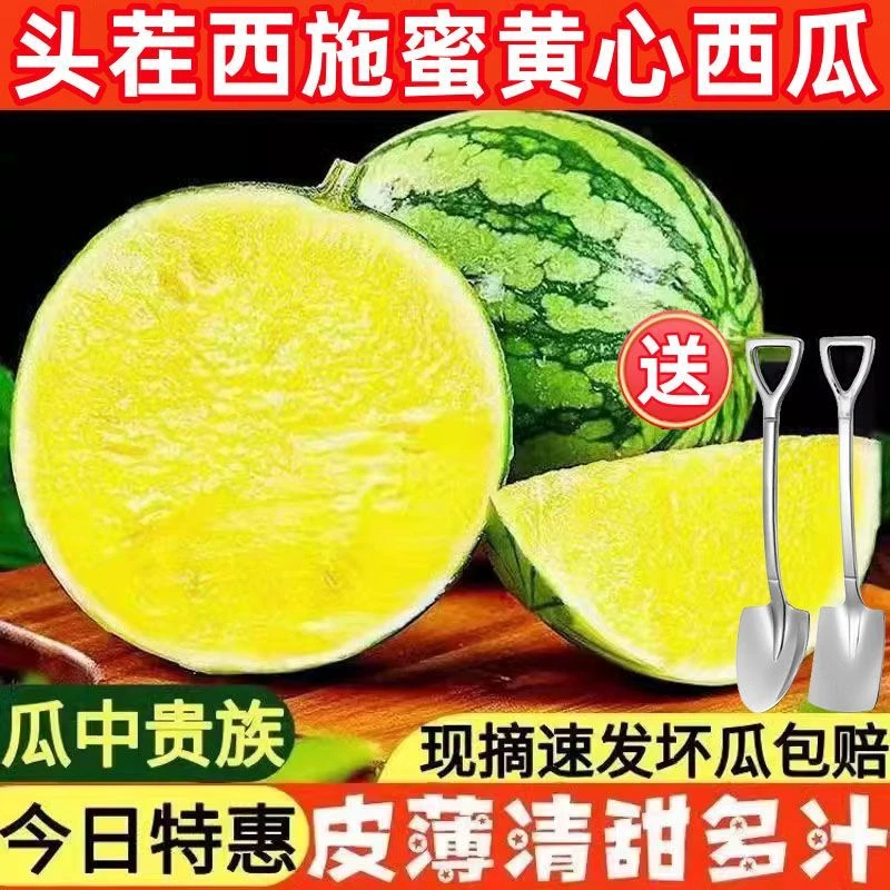 特小凤黄心清甜不腻2-3斤甜脆富硒砂瓤薄皮迷你冰淇淋新鲜采摘