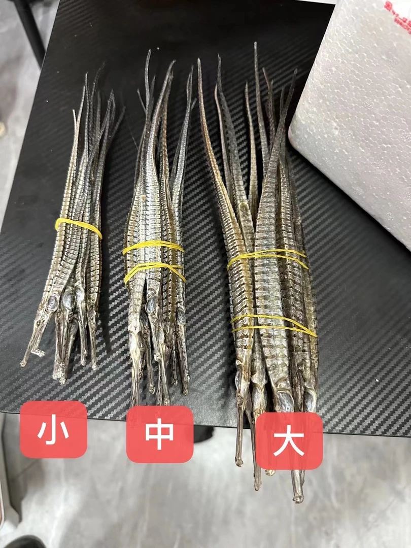 湛江天然六角海龙 海鲜干货