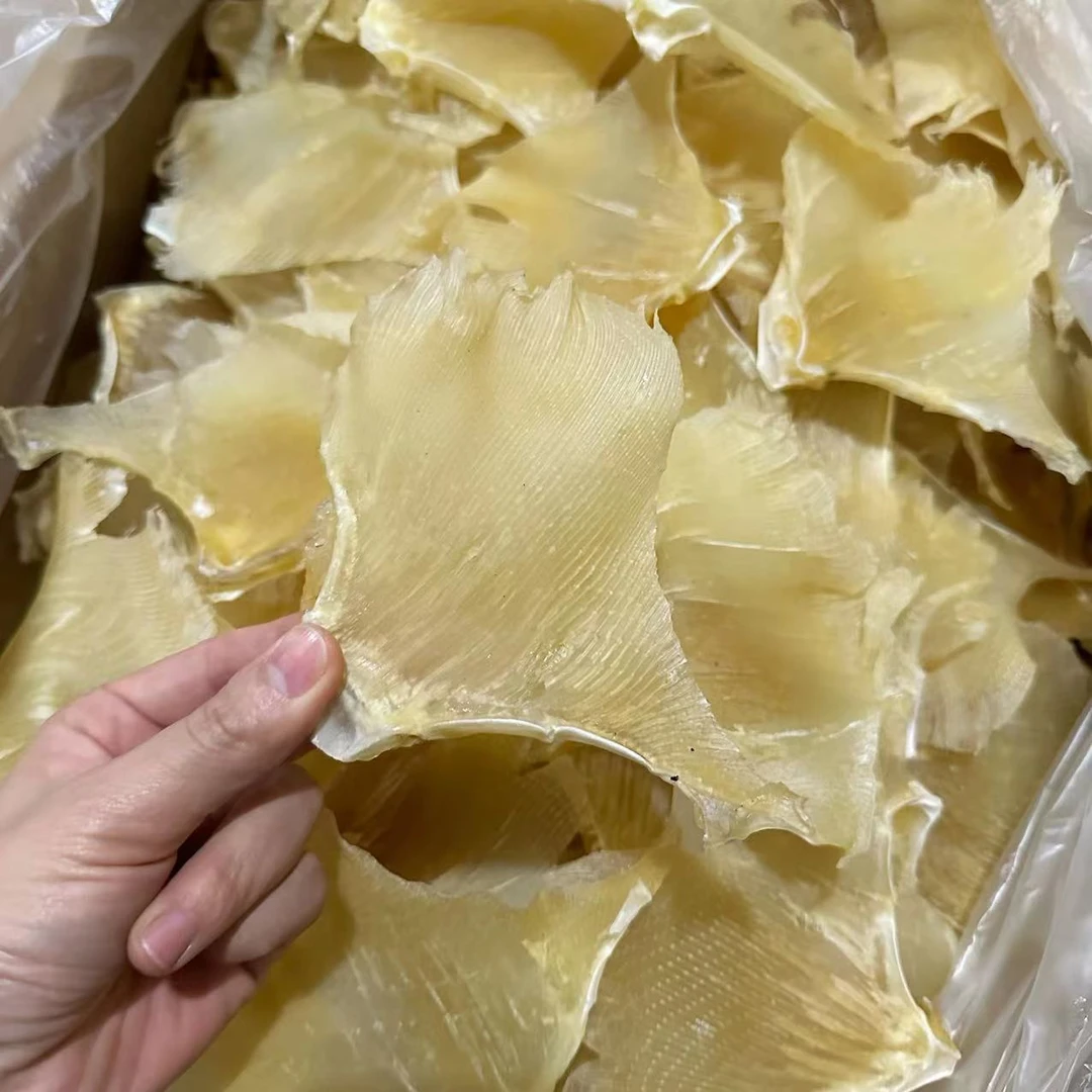 精选 海翅干250g/包