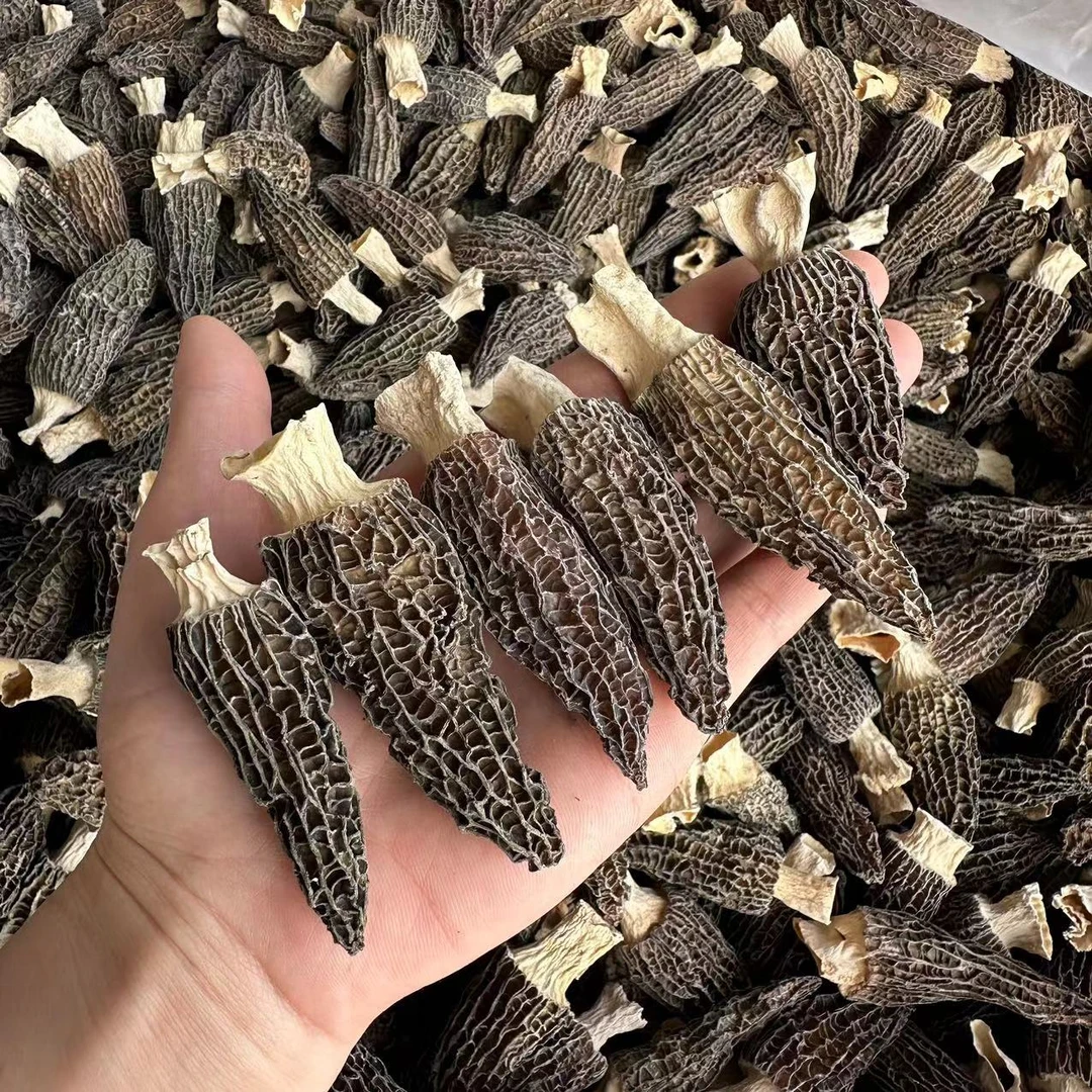 羊肚菌干 精选厚肉