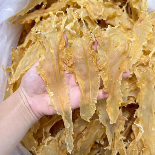 鳕鱼胶55头花胶鱼胶