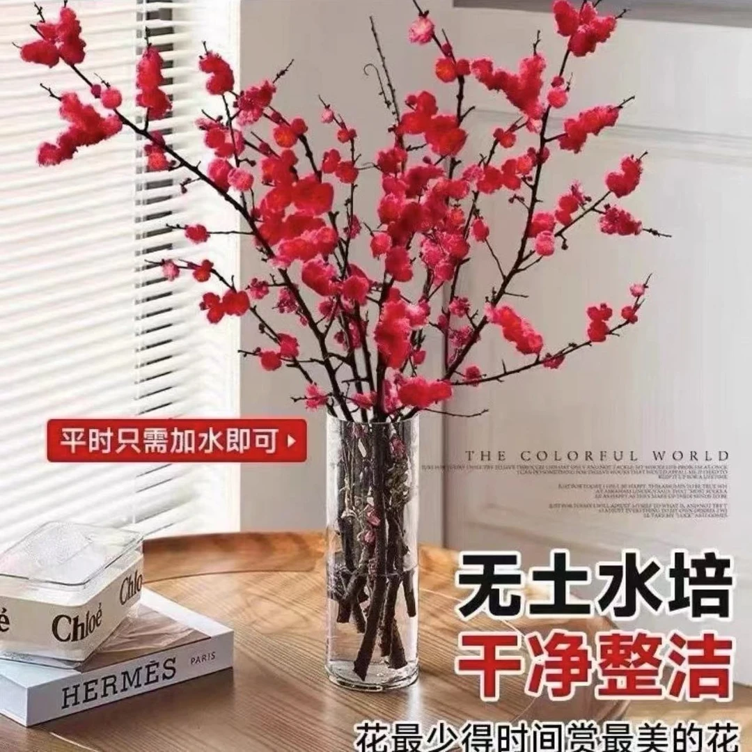 【遇水开花】新年装饰梅花桃枝遇水开花冬季室内水培干枝年宵花卉