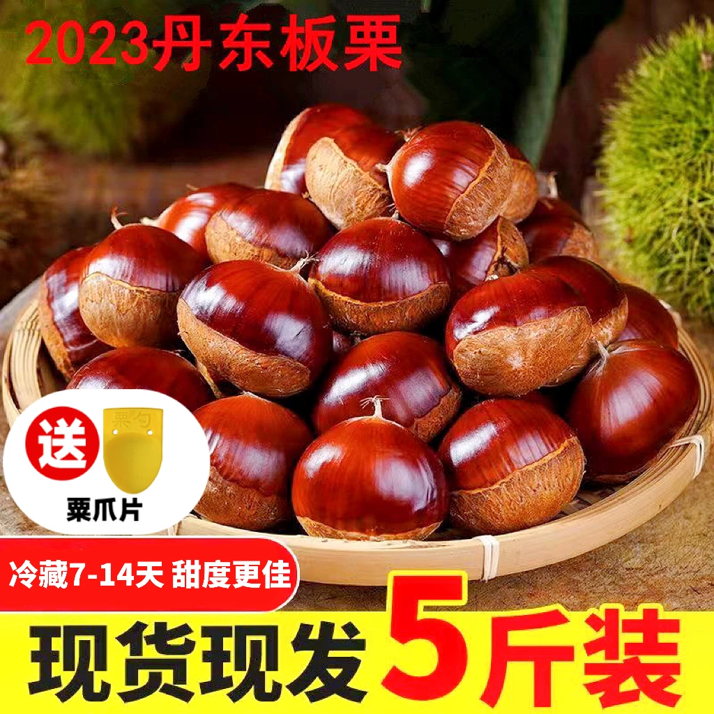 【买3斤送2斤】2023年新鲜采摘老树板栗 送塑料刮栗爪非铁器 5/10斤