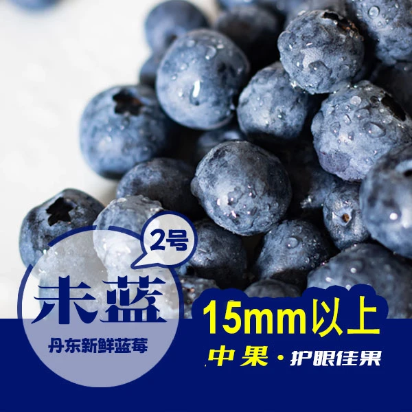 丹东新鲜蓝莓未蓝2号新鲜多汁中果蓝莓500g现摘顺丰包邮