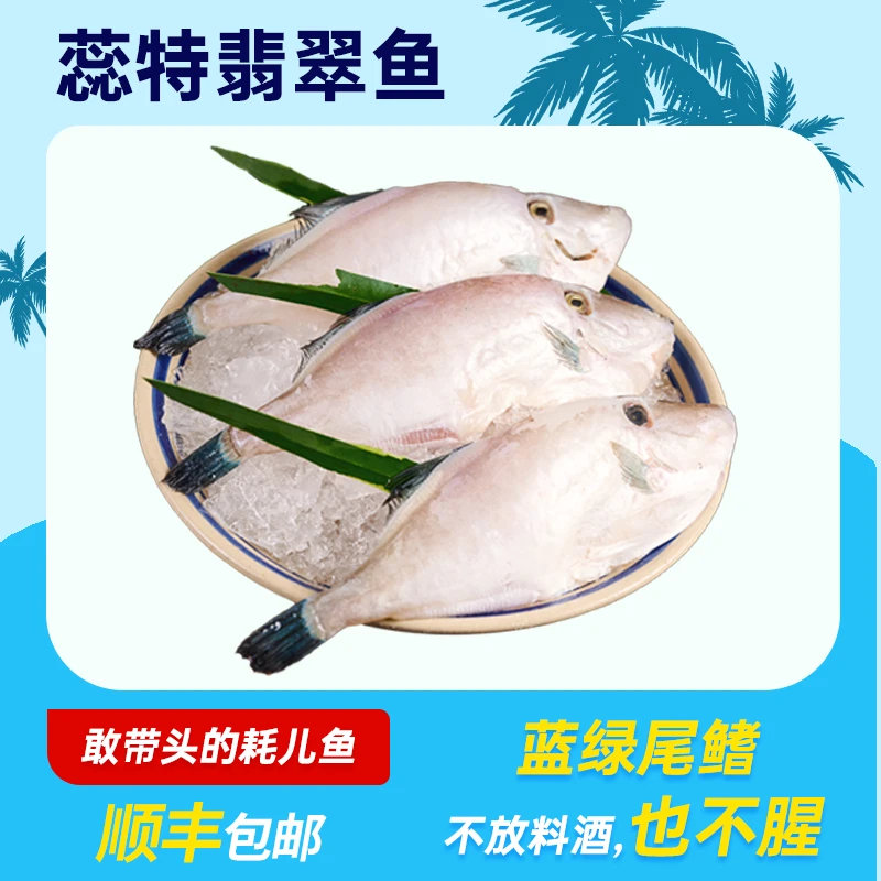 蓝绿尾翡翠耗儿鱼新鲜活冻扒皮鱼中号马面鱼火锅食材海鲜水产海捕
