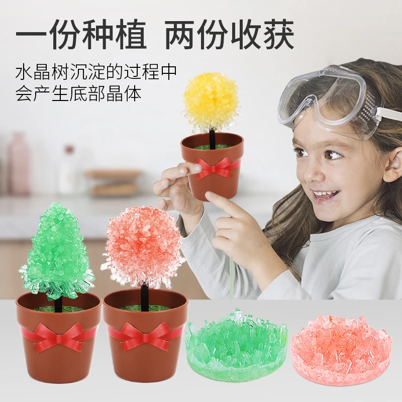 儿童趣味种植科学小实验手工diy生长水晶花3-6岁实验套装益智玩具