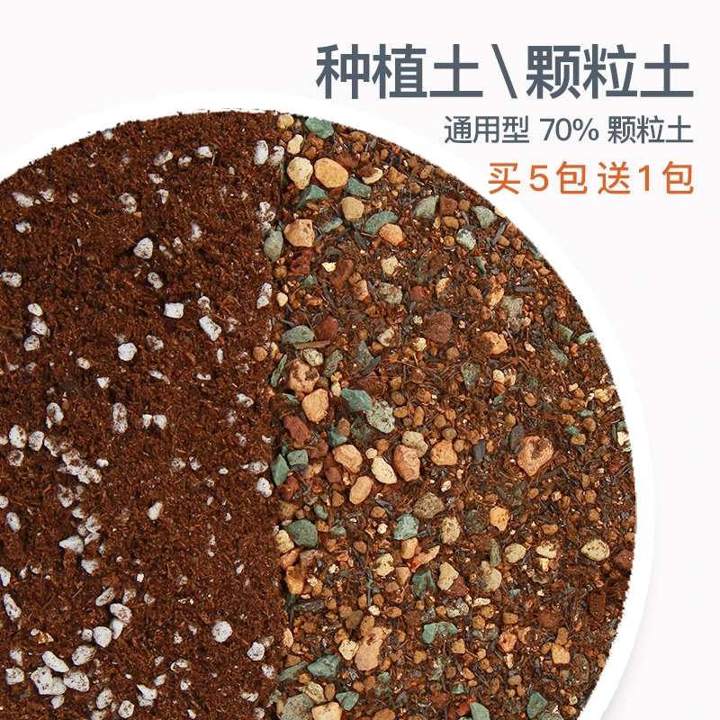 泥炭种植土颗粒土1L多肉营养土通用月季营养土