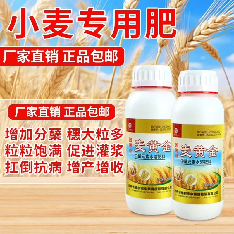 因圃绿麦黄金小麦专用叶面肥买一送一