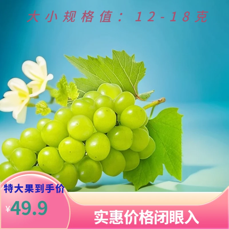 【特大果】【顺丰快递】阳光玫瑰无籽浓郁香甜多汁整箱带发
