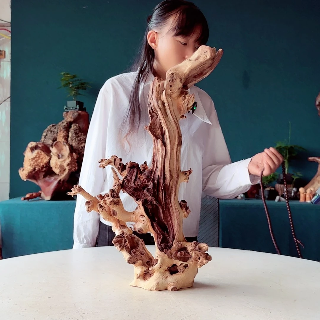 木用****8968金丝红木羊蹄甲半成品