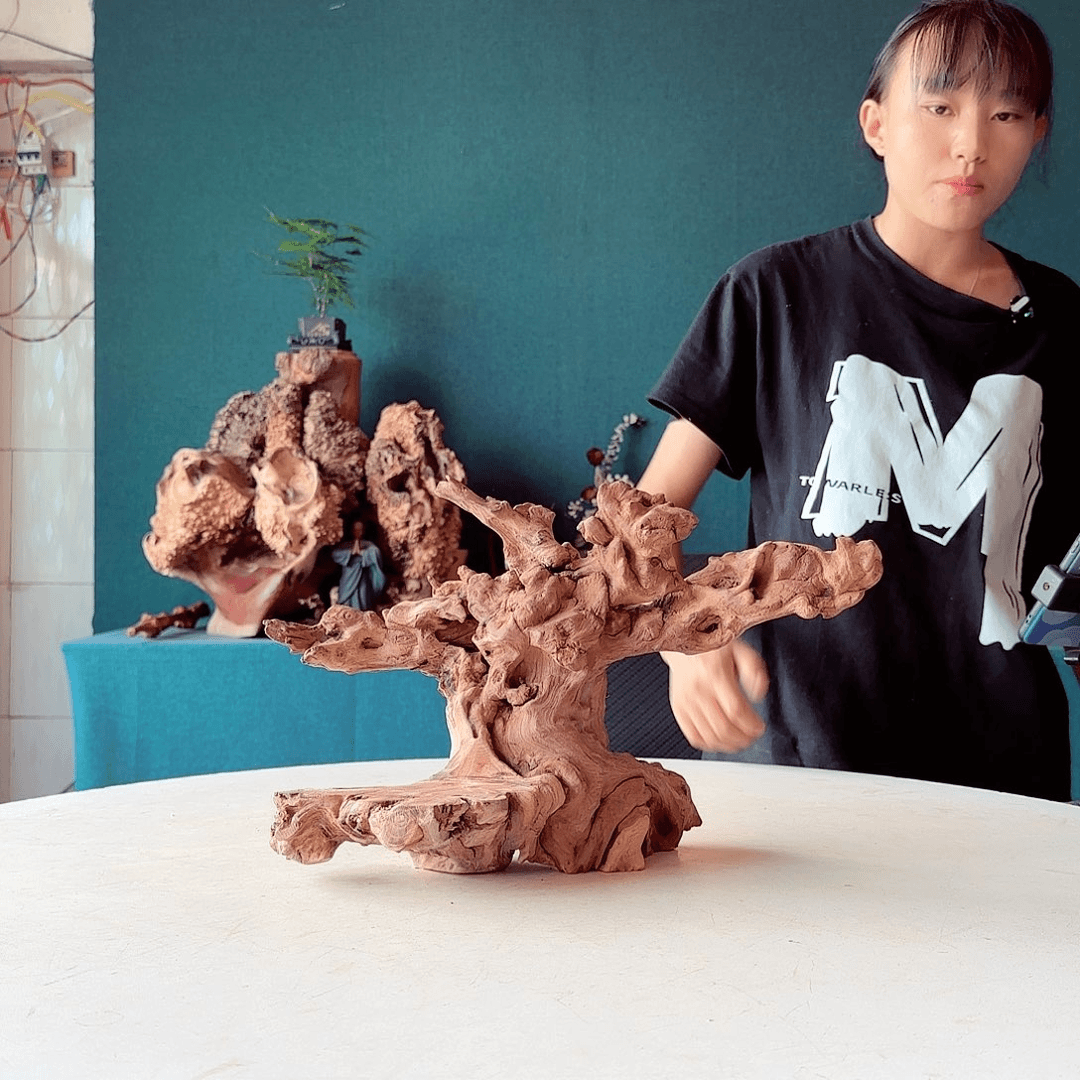 木一*兰754金丝红木羊蹄甲半成品