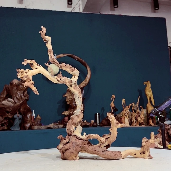 黑果木长****塑688金丝红木羊蹄甲半成品