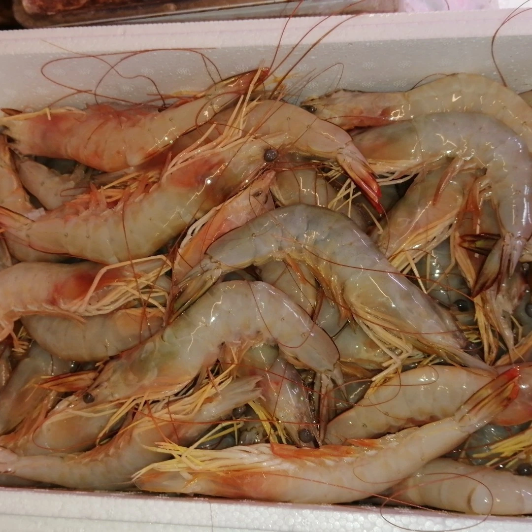 天然野生海虾4斤每斤12只左右，海味大虾味浓！