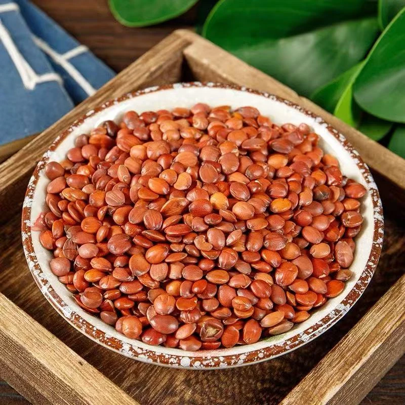 《酸枣仁》刑枣仁.精选道地本草.河北邢台