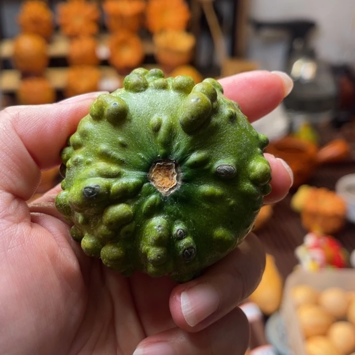 ·****墨西哥疙瘩葫芦青皮