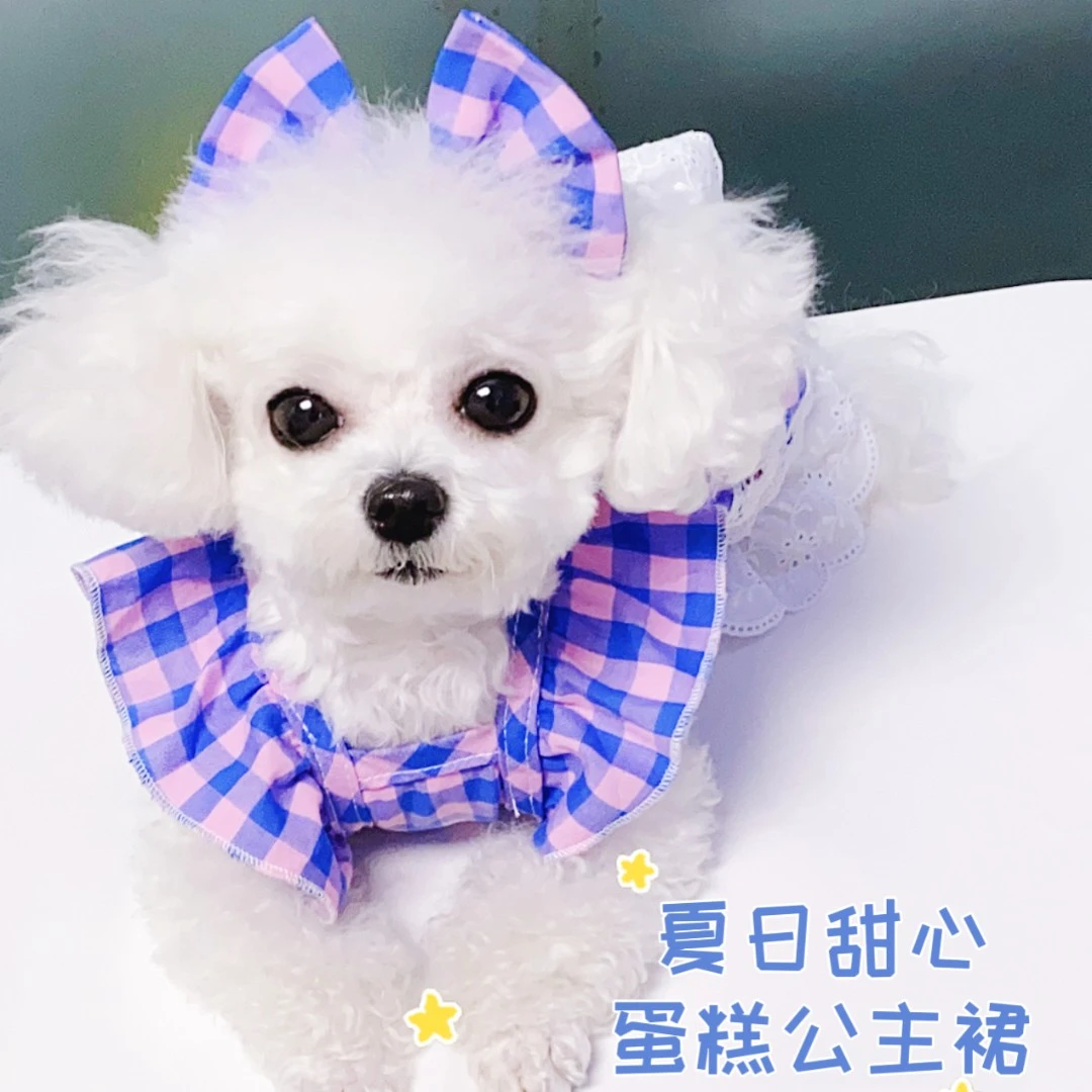夏日甜心公主蛋糕裙棉质猫狗通用牵引扣飞飞袖连衣裙比熊泰迪