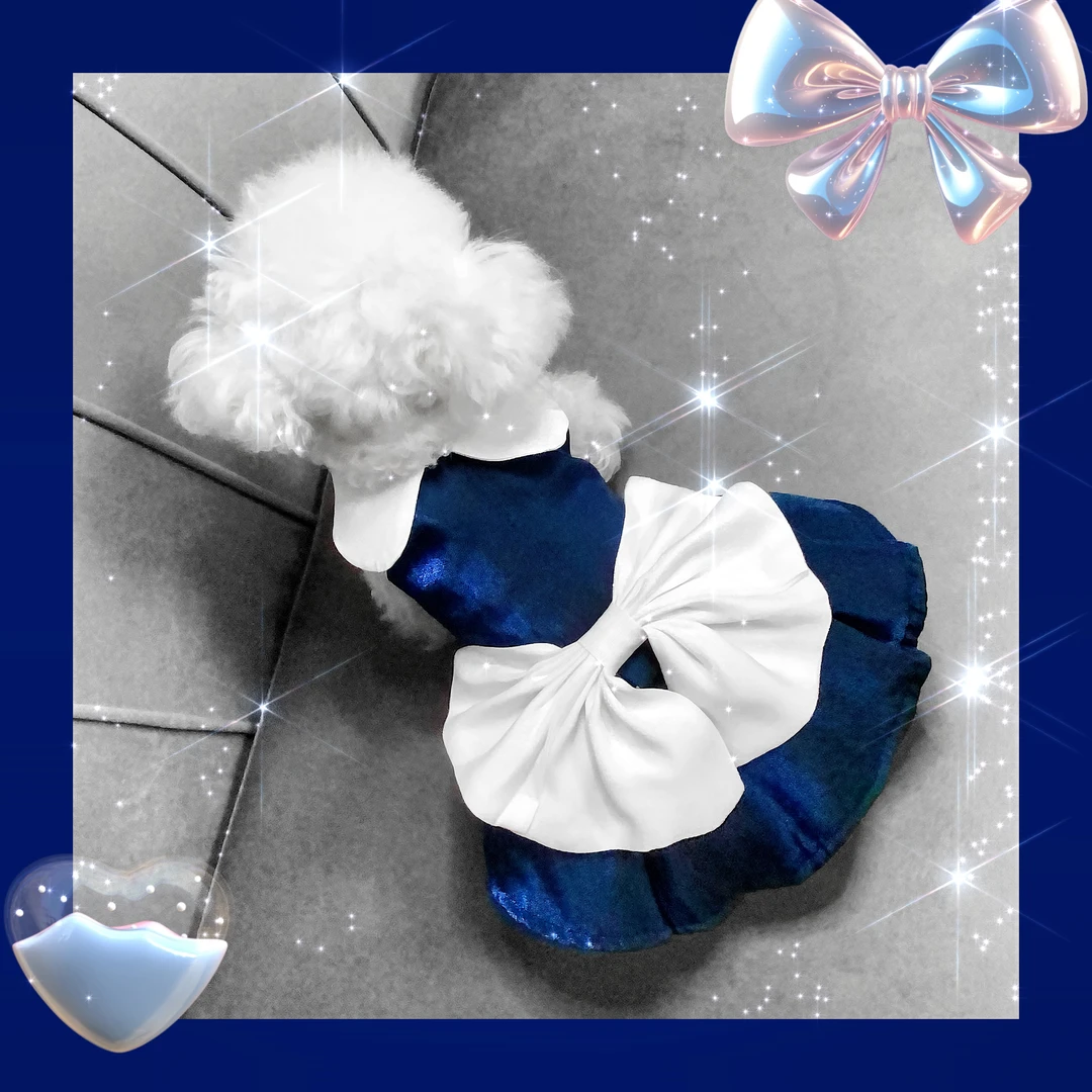 【海洋之心】高级定制宠物礼服裙猫狗通用宠物衣服牵引扣泰迪比熊