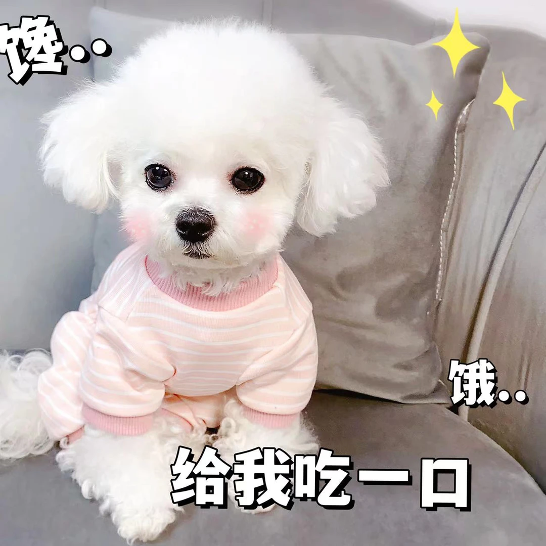 [条条家居服]棉质四脚衣打底衫舒适保暖睡衣原创设计宠物衣服