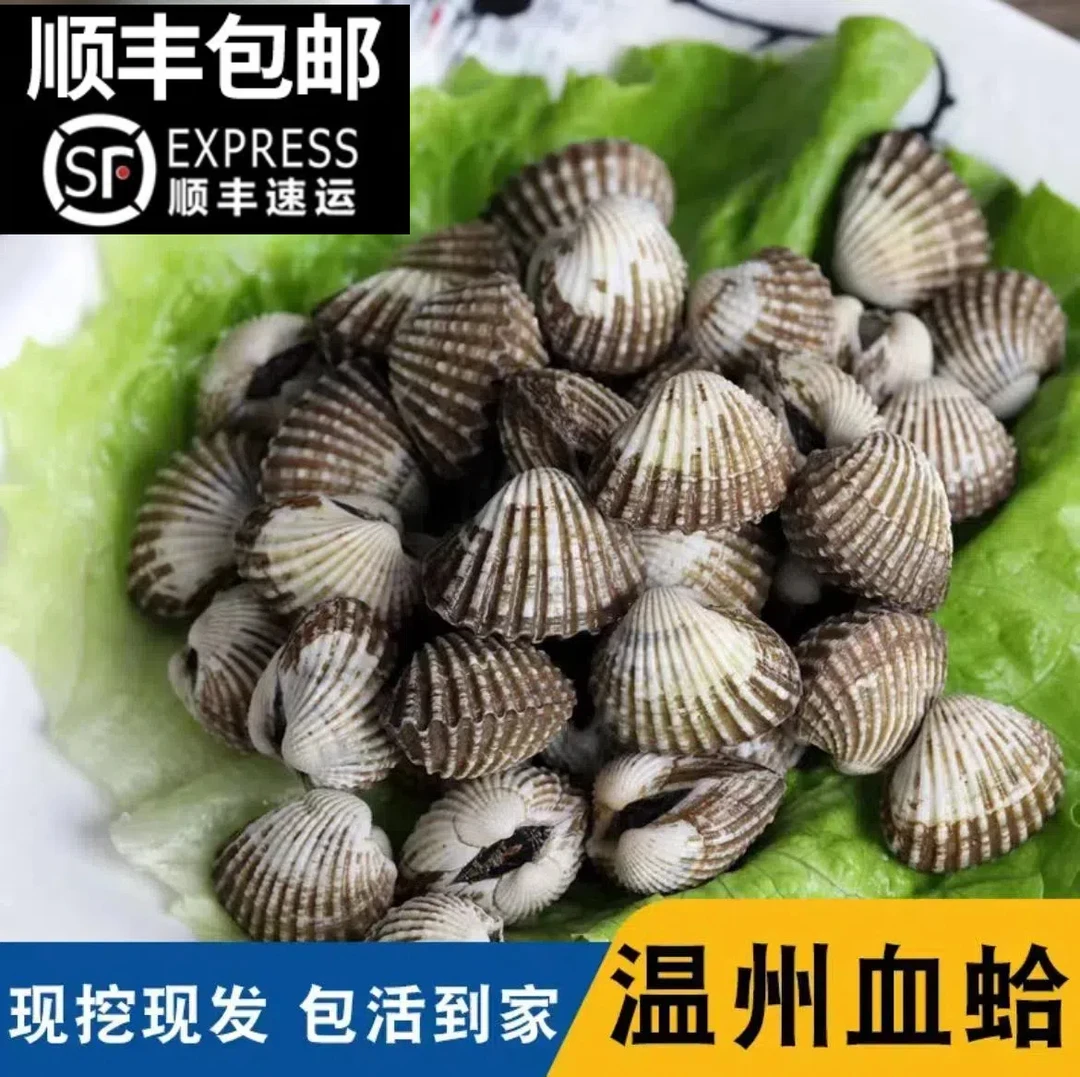 三门血蛤鲜活新鲜血蚶血蛤蜊可生腌现挖现发海鲜鲜活贝类生鲜水产