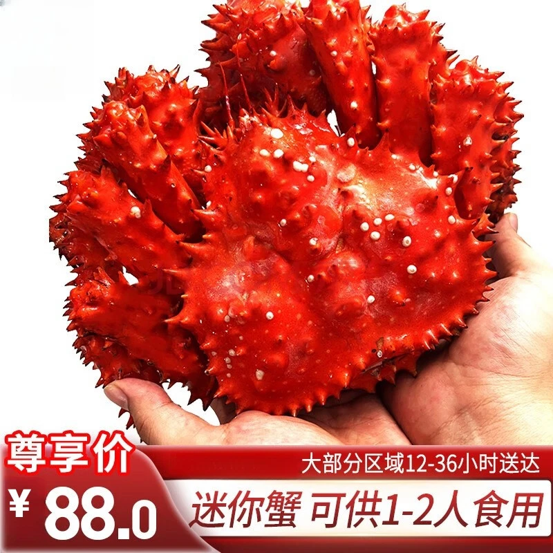 智利熟冻帝王蟹400克-600克一只，进口长脚蟹大螃蟹年货海鲜礼盒