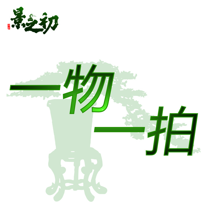 【景之初园艺】1号链接 盆景一物一拍 以直播实物为准 直播间拍/买