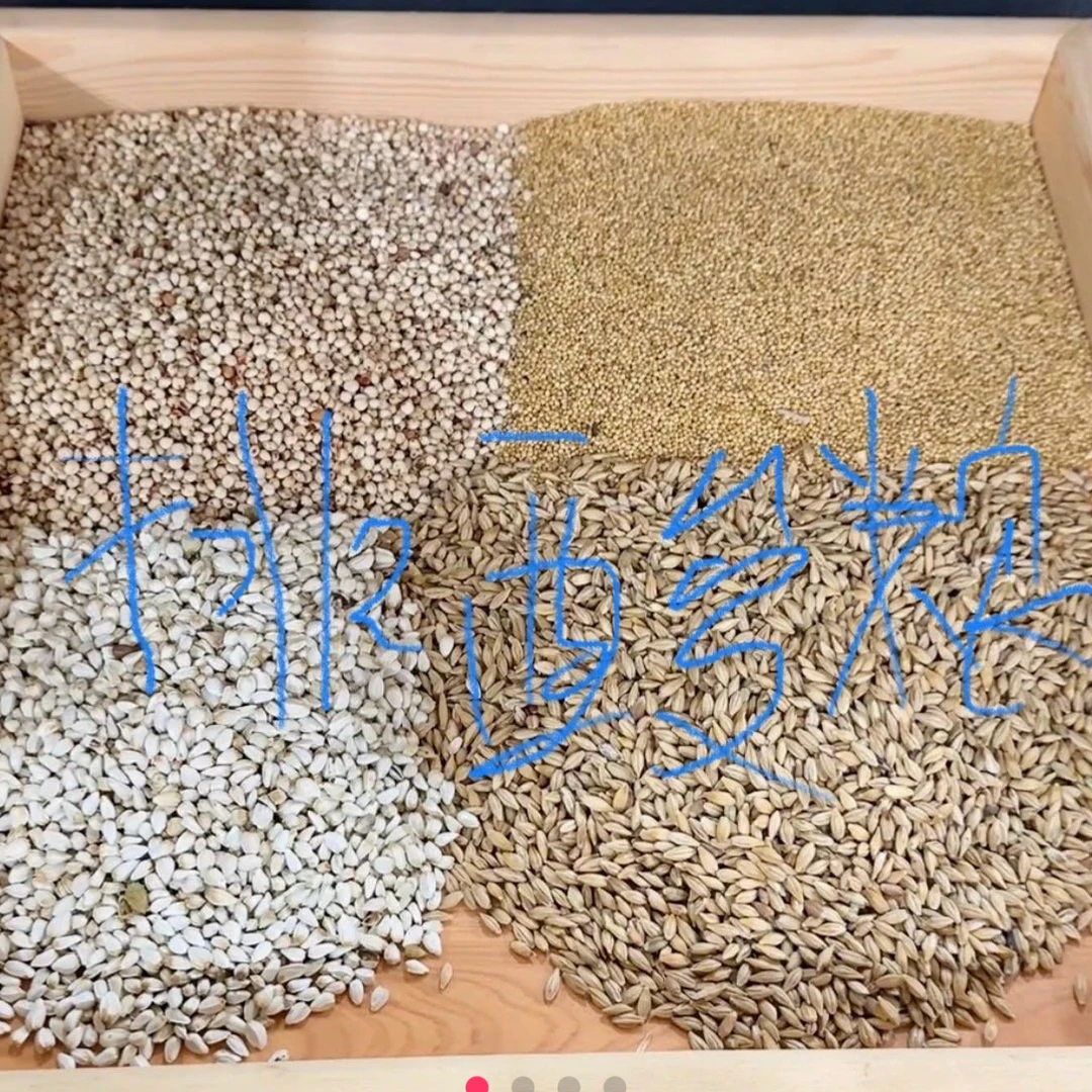 鸽子排酸粮 归巢第一口粮