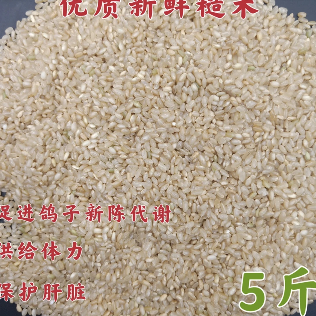 鸽子粮食糙米 鸽子营养品