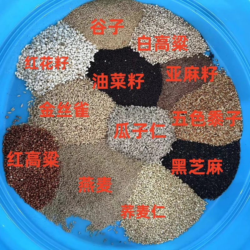 鸽子食用红花籽花椒籽亚麻籽金丝雀籽荞麦仁黑芝麻油菜籽