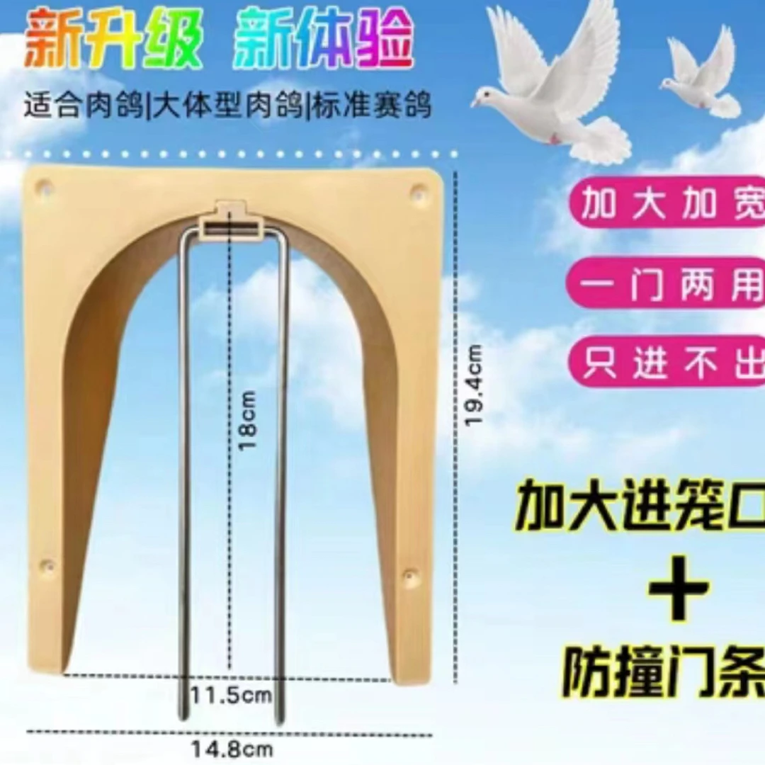 鸽子进出口 只进不出 鸽子进笼口