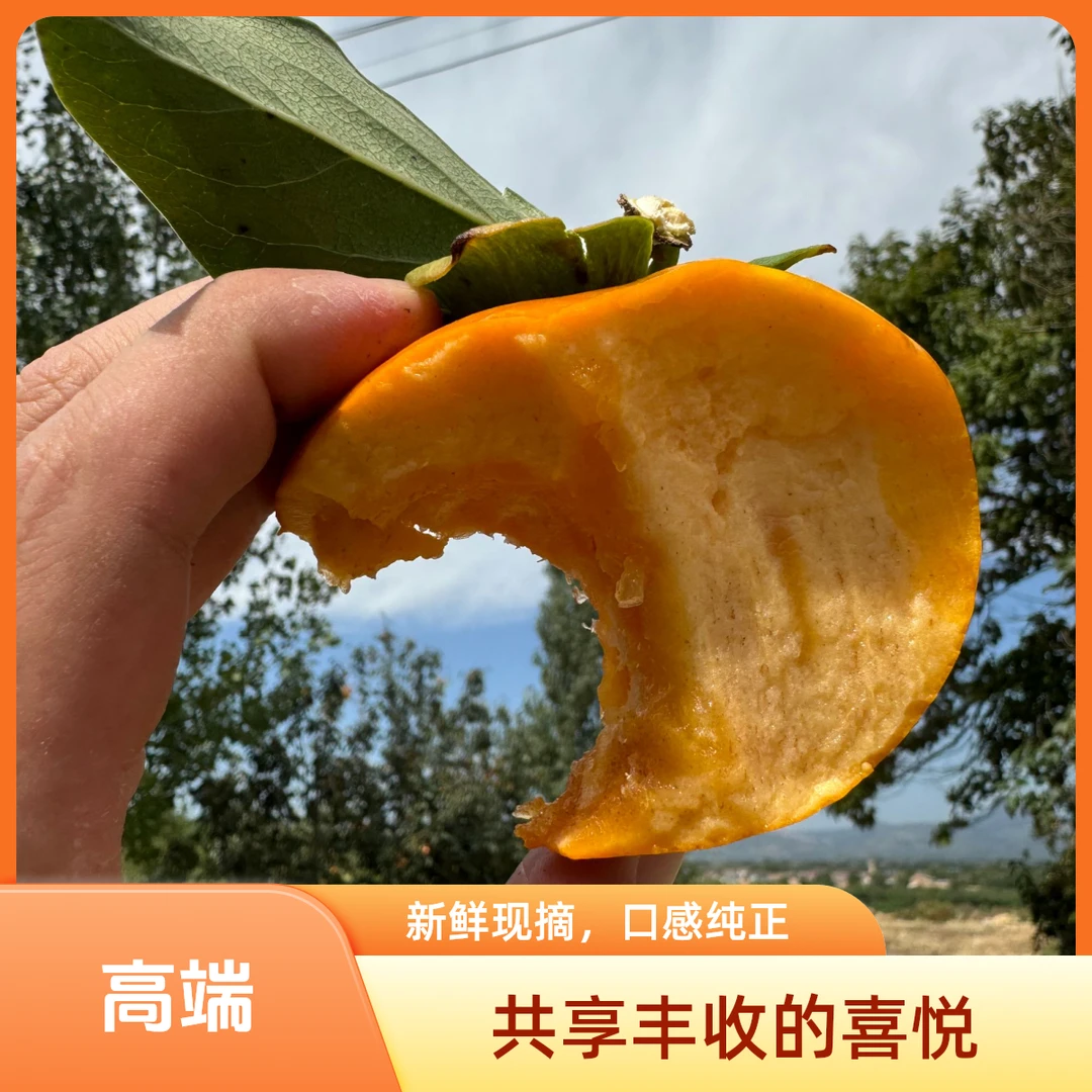 巧克力（4.5斤75起步）脆柿子，自然馈赠的甜蜜，让味蕾穿越时光