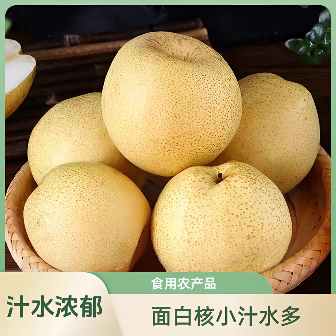 陕西白酥梨薄皮多汁精选甜度汁水浓郁新鲜冰糖梨当季水果产地发